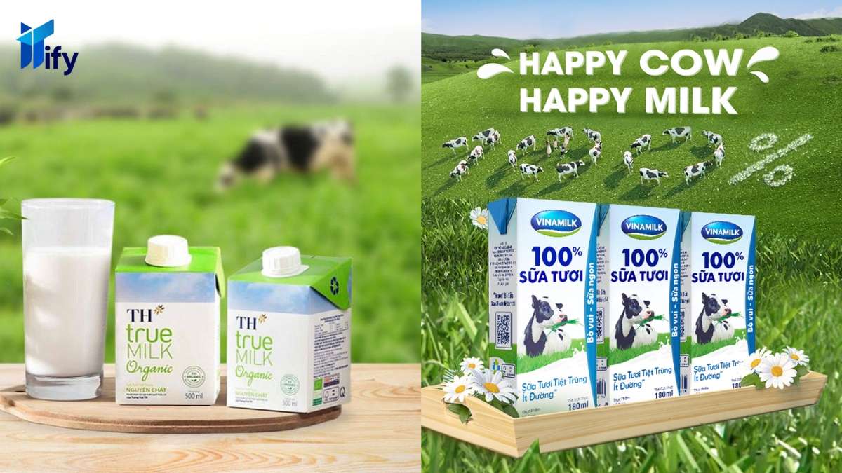 Điều Gì Trong Chiến Lược Marketing Của TH True Milk Giúp Doanh Nghiệp Không "Hụt Hơi" Trước Vinamilk?