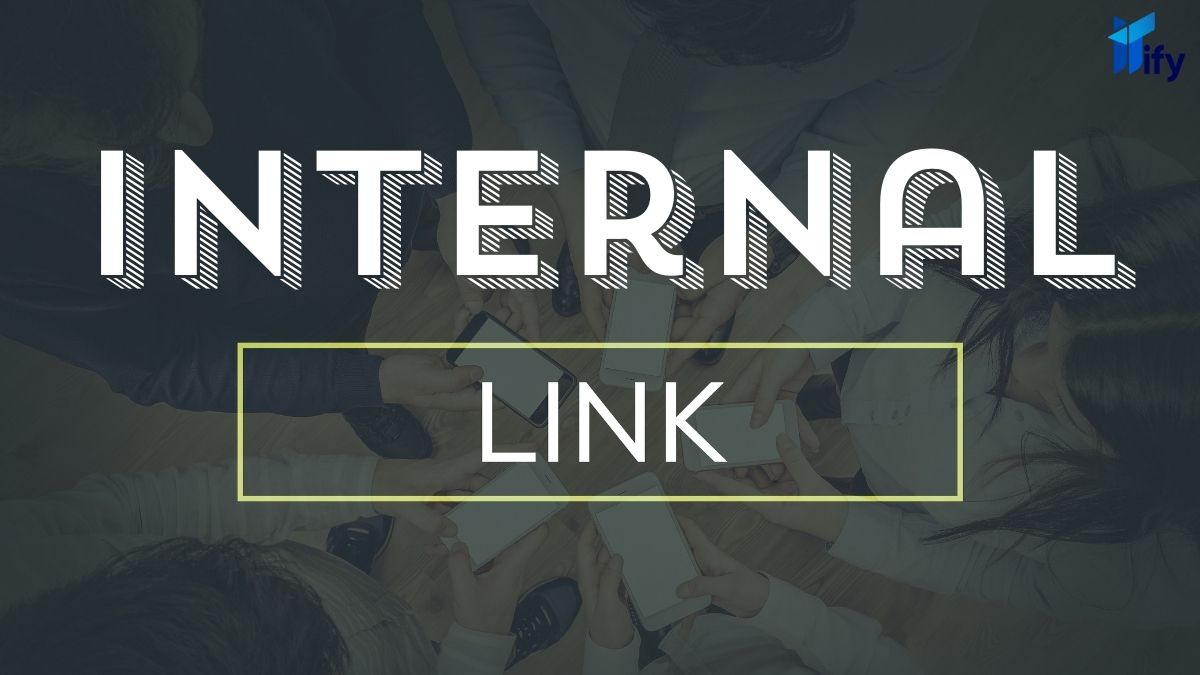 Internal Link Là Gì?