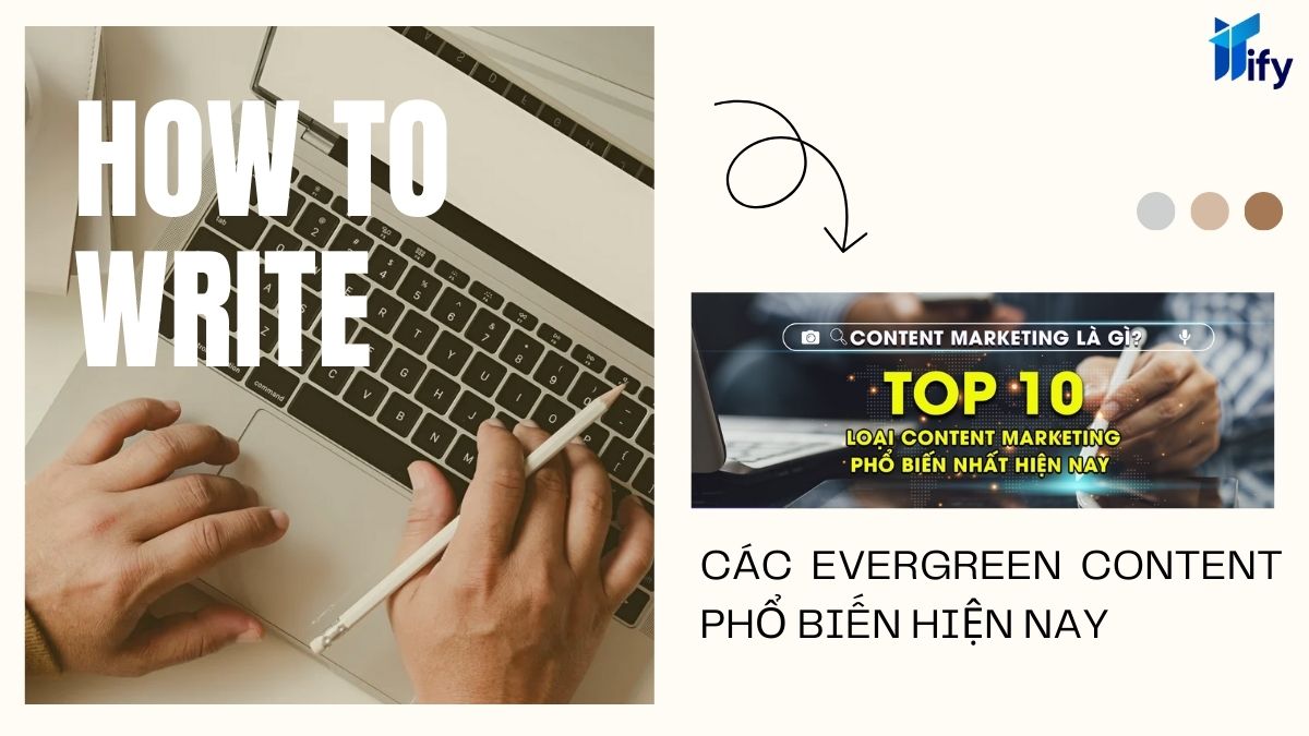 Các evergreen content phổ biến hiện nay