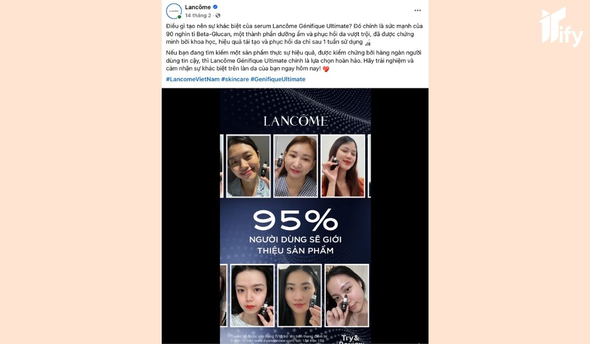 noi dung chinh review chi tiet trung thuc va co cau truc